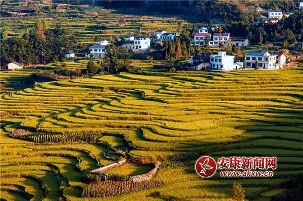 陳浩攝 (2).jpg