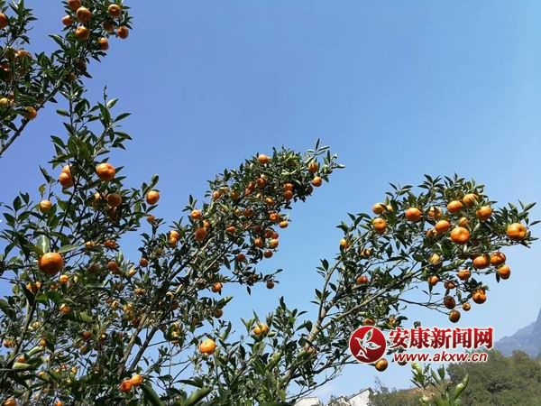 {С mmexport1509844149357.jpg