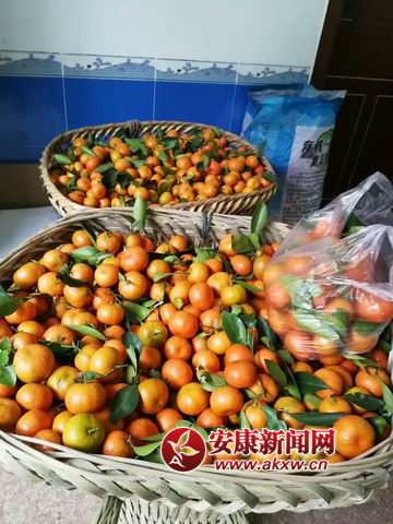 {С mmexport1509844114181.jpg