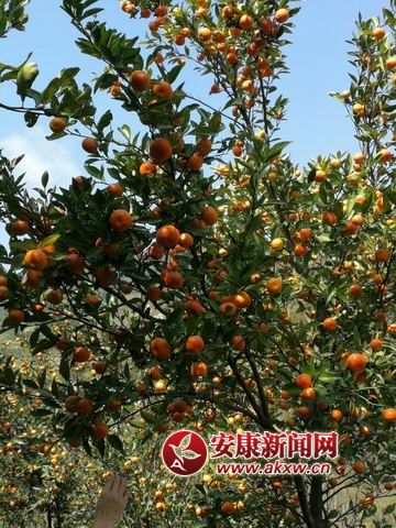 {С mmexport1509844146036.jpg