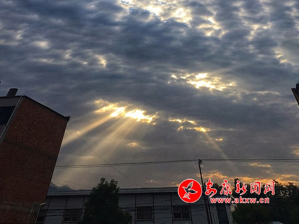 微信圖片_20190705154851.jpg