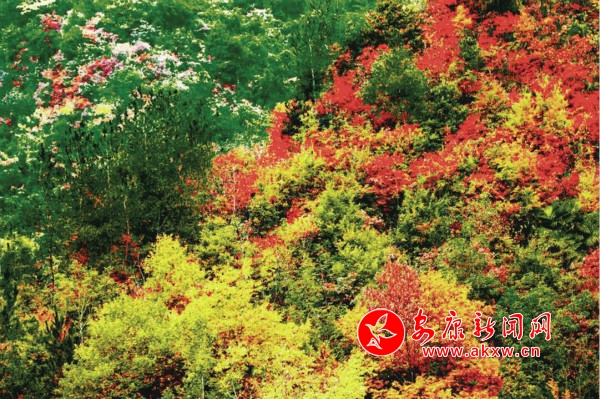 微信圖片_20201028094651_meitu_8.jpg