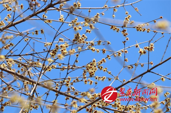 Ϟ÷�`�� ֦�^�h��