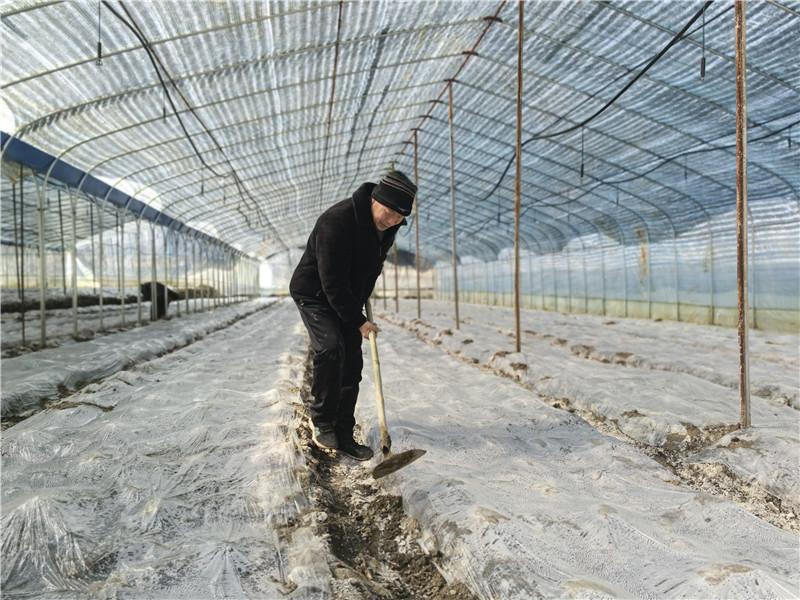 從高處俯瞰,太平村的羊肚菌種植基地美景如畫。(資料圖片)